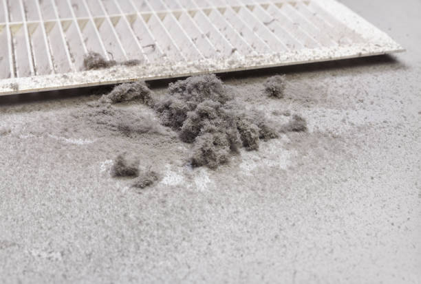 Best Affordable HVAC Duct Cleaning  in Willows, CA